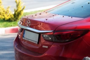 Mazda, brugt Mazda, pris på brugt Mazda